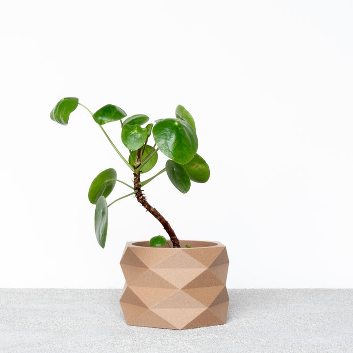 White Wooden Indoor Planter, Geometric and Minimalist Design House Plant Pot - Original Handmade Gift !