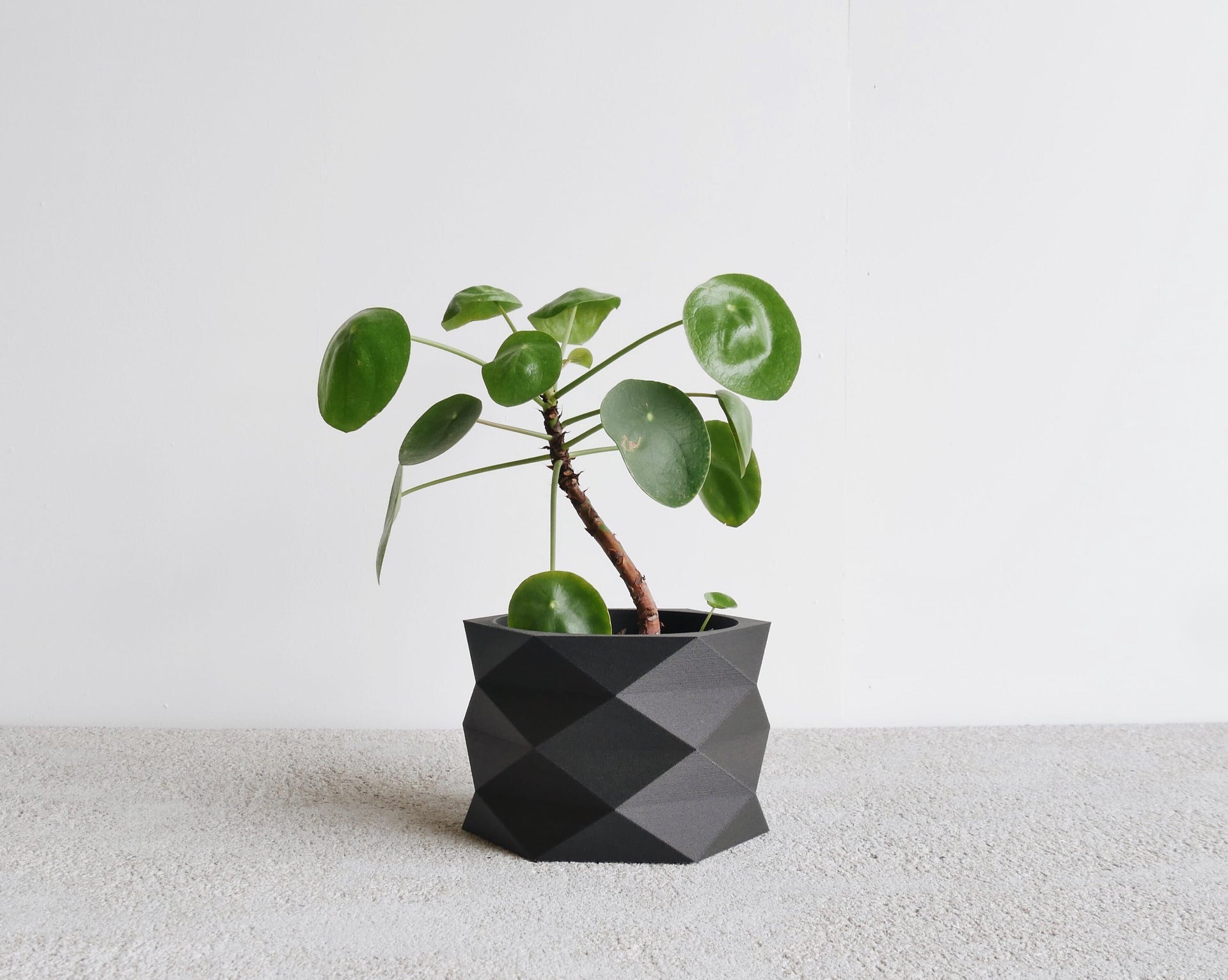 Indoor Planter - DIAMANT