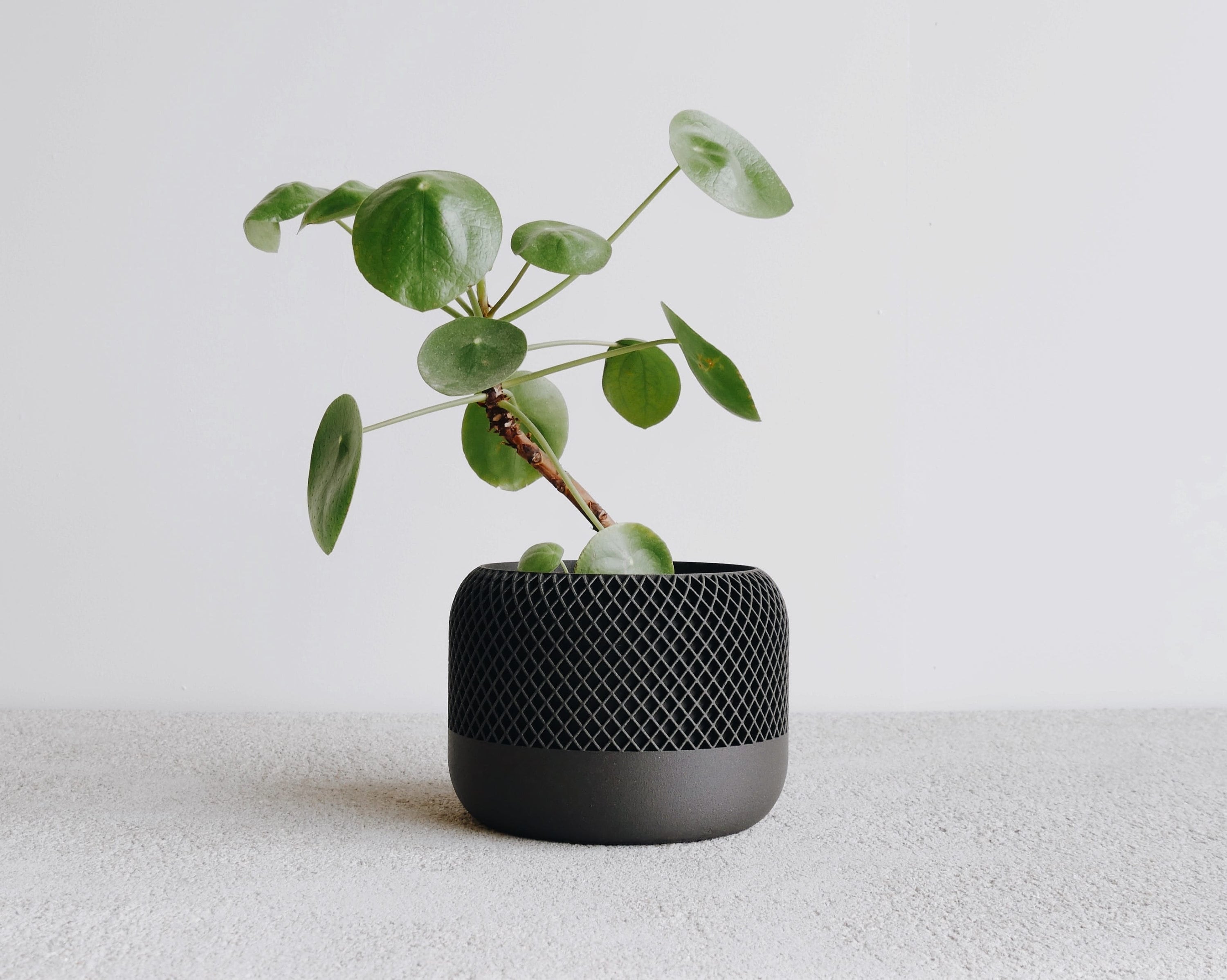 Black Indoor Planter Wood - APPLE - Minimalist & Scandinavian Decor - Planter Gift