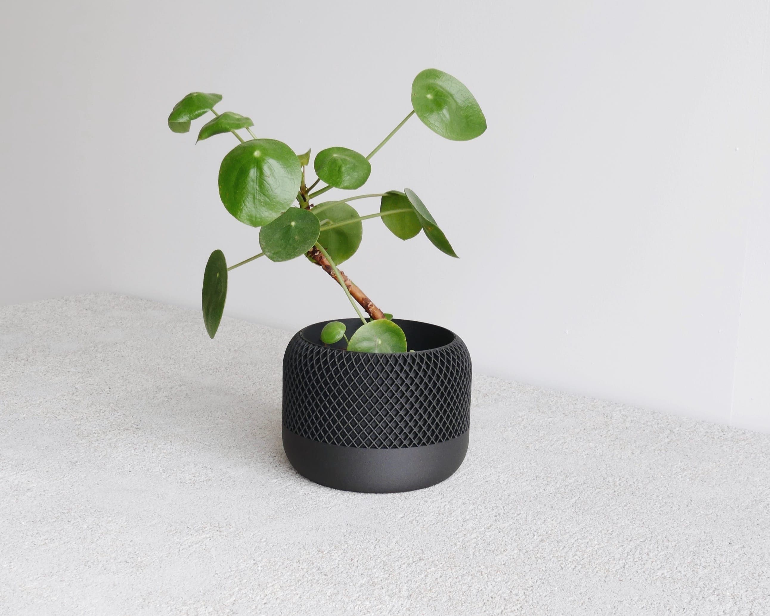 Black Indoor Planter Wood - APPLE - Minimalist & Scandinavian Decor - Planter Gift