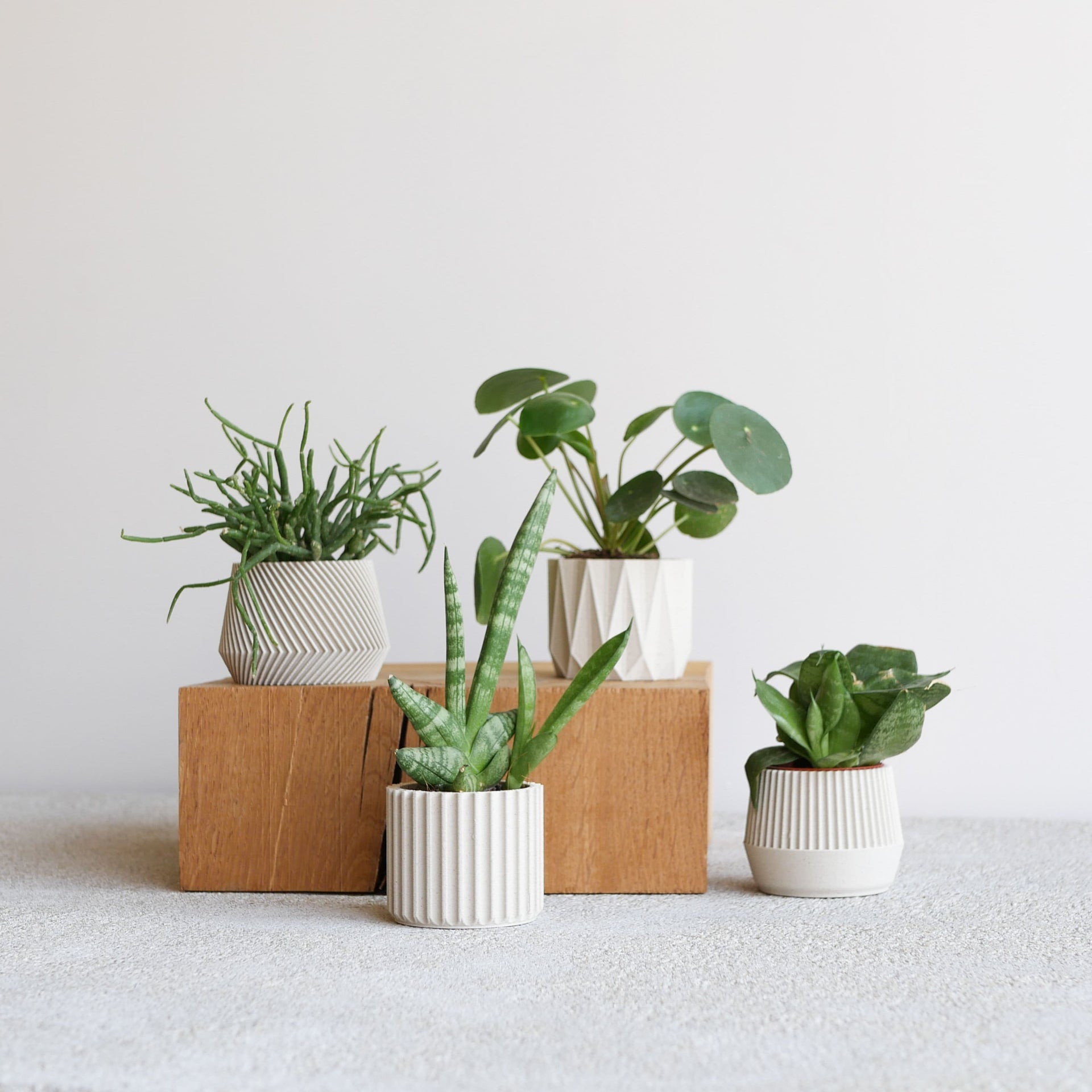 Set of 4 Small Indoor Planters White - Original Planter Gift !