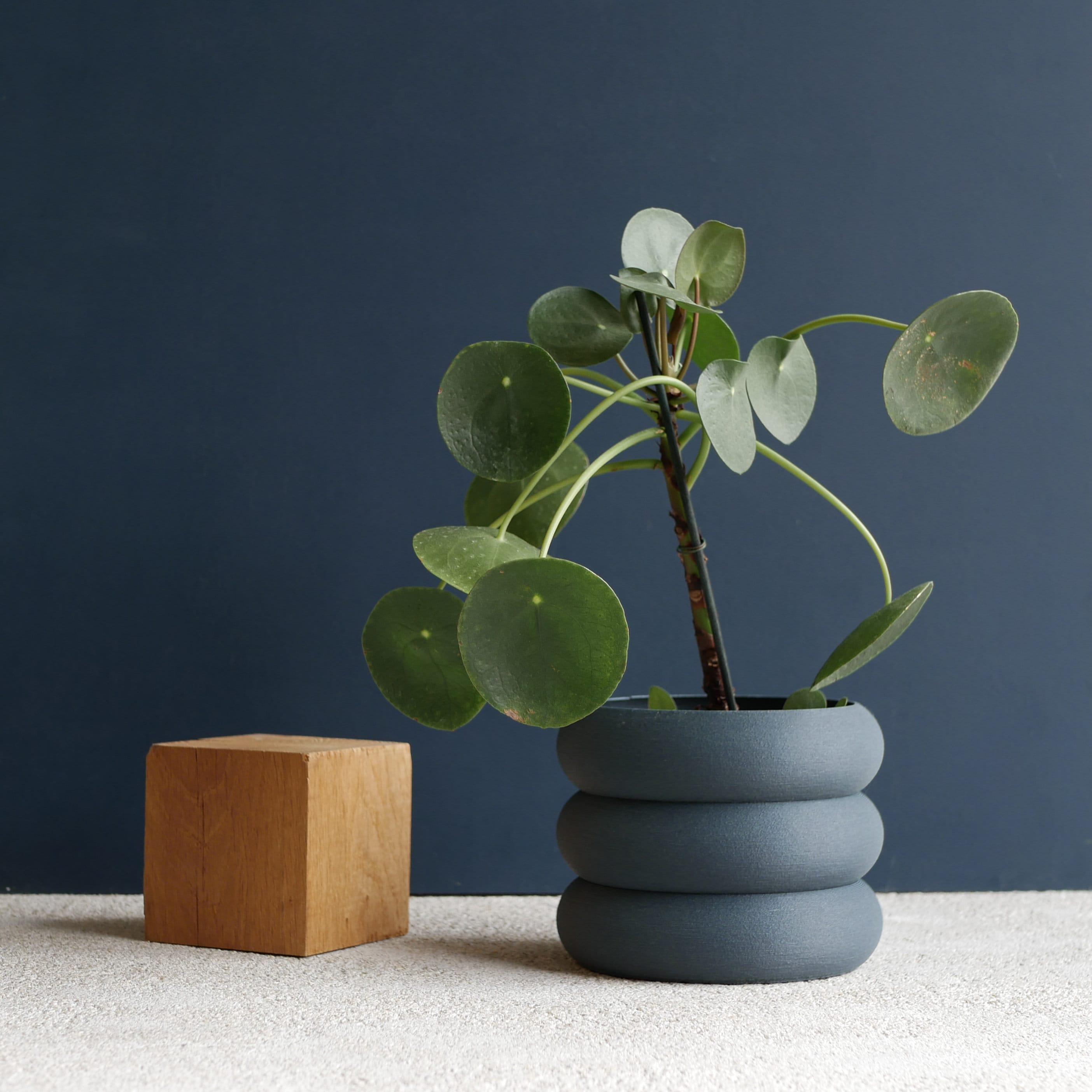 Terracotta Indoor Wooden Planter "EDEN"- Perfect for Green Plants, Cactus Et Succulent Plants !