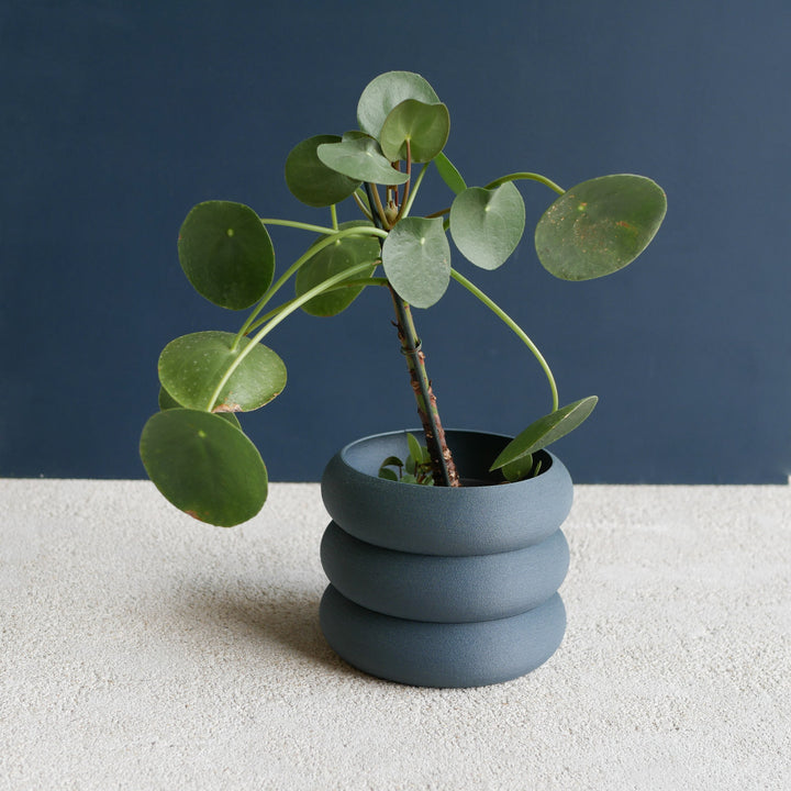 Terracotta Indoor Wooden Planter "EDEN"- Perfect for Green Plants, Cactus Et Succulent Plants !