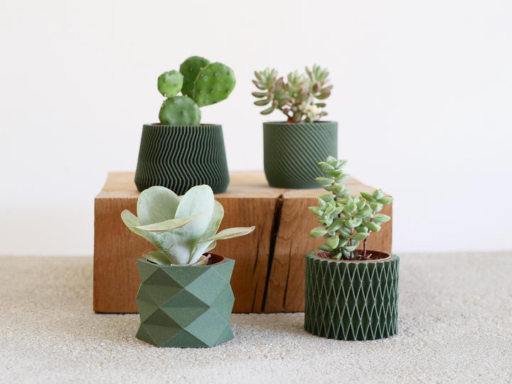 Set of 4 Eco-Friendly Planters - Green Color - Perfect for Succulent and Cactus Plants