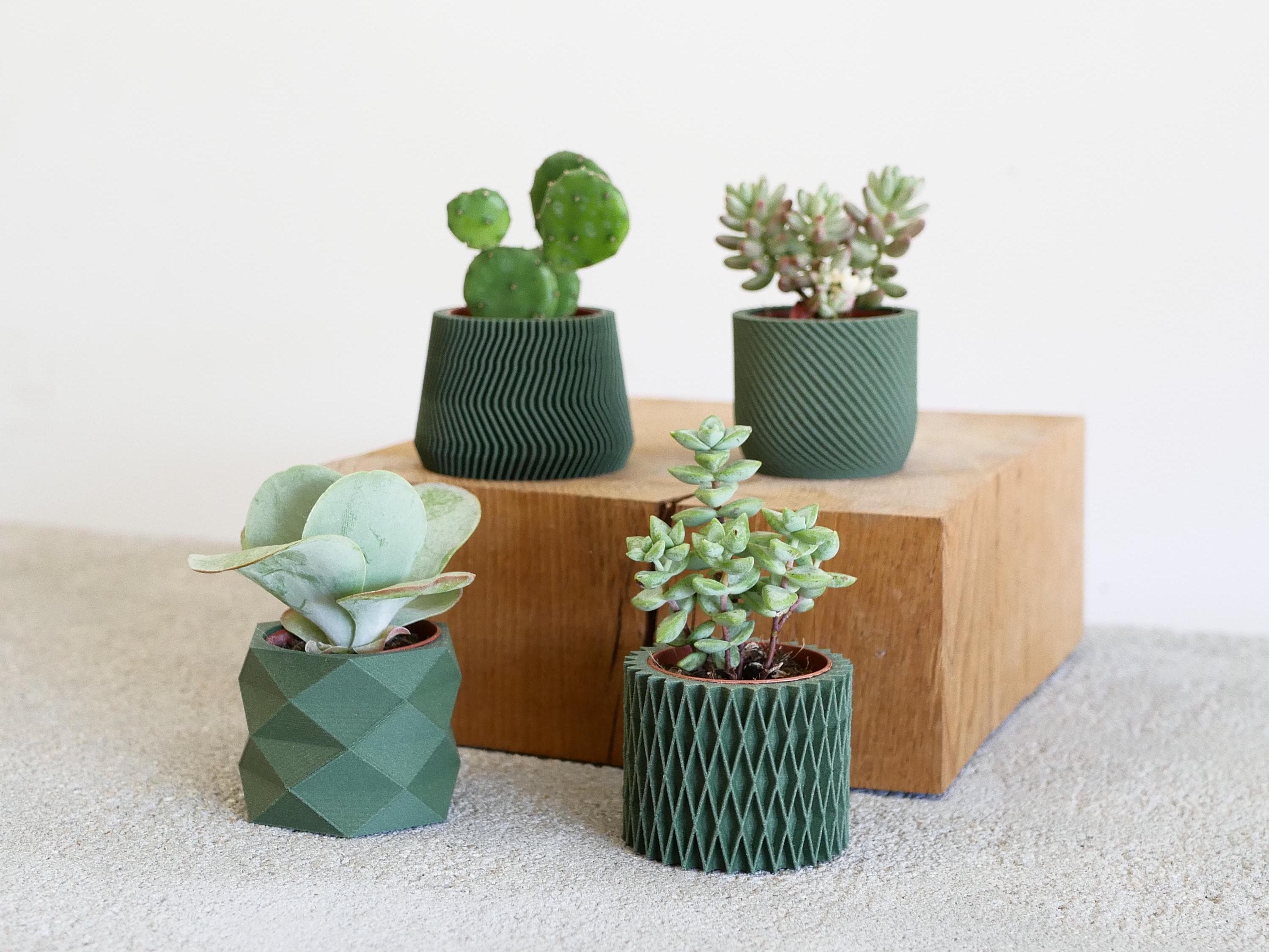 Set of 4 Eco-Friendly Planters - Green Color - Perfect for Succulent and Cactus Plants