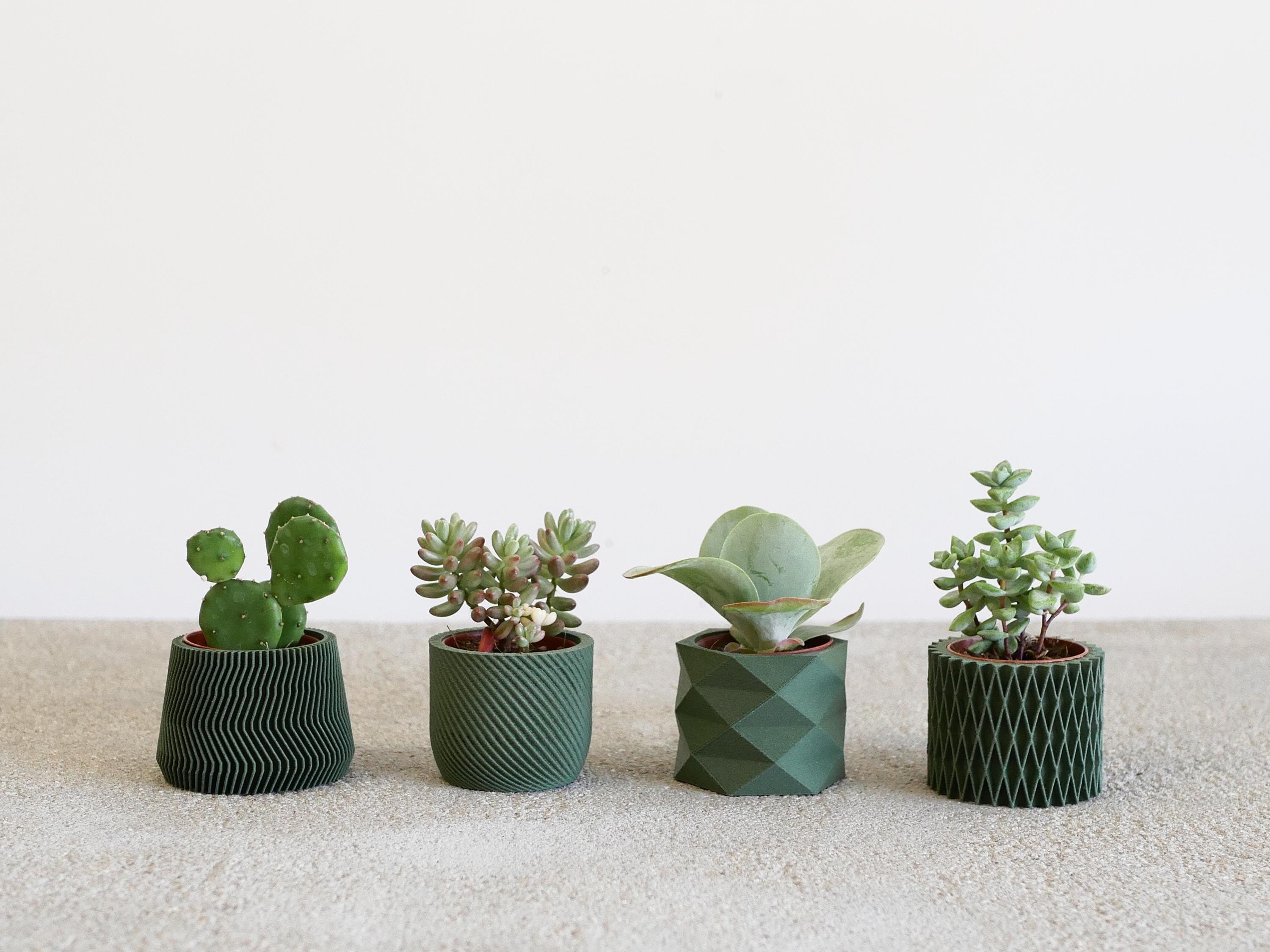 Set of 4 Eco-Friendly Planters - Green Color - Perfect for Succulent and Cactus Plants