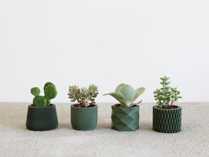 Set of 4 Eco-Friendly Planters - Green Color - Perfect for Succulent and Cactus Plants