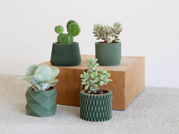 Set of 4 Eco-Friendly Planters - Green Color - Perfect for Succulent and Cactus Plants