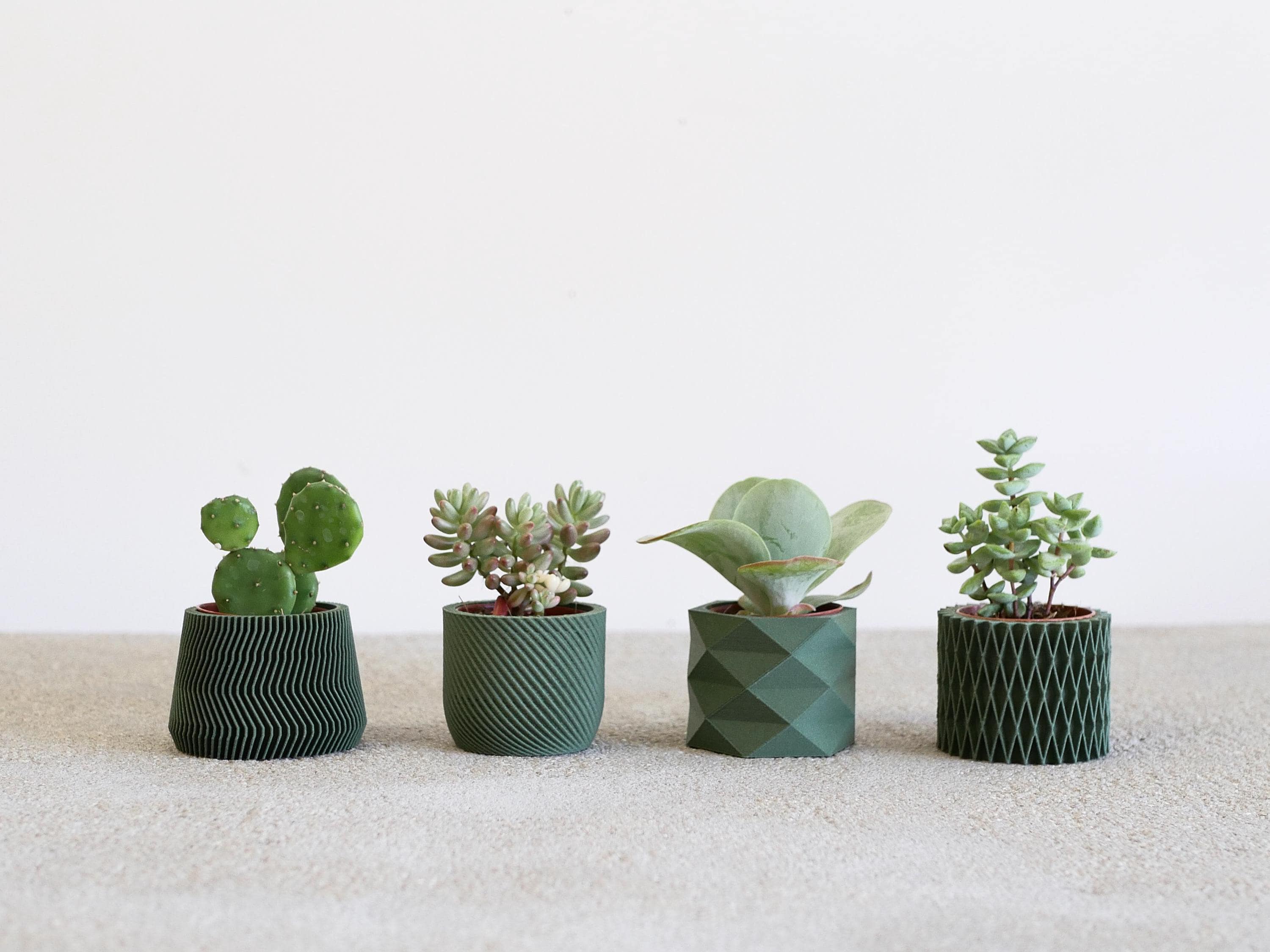 Set of 4 Eco-Friendly Planters - Green Color - Perfect for Succulent and Cactus Plants