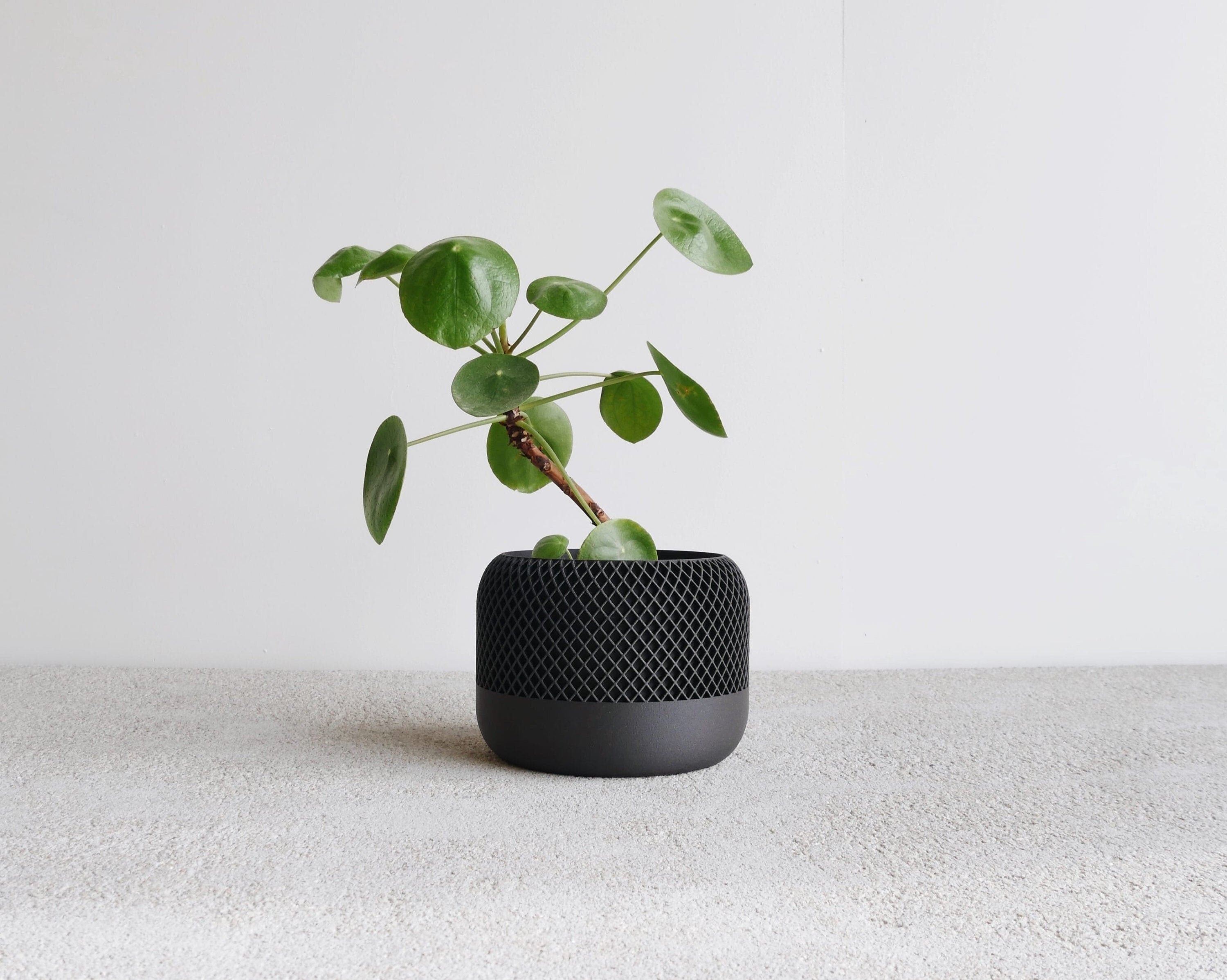 Black Indoor Planter Wood - APPLE - Minimalist & Scandinavian Decor - Planter Gift